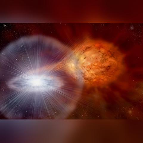 49tk官网正版下载|科学分析解释落实_实况款.1.24