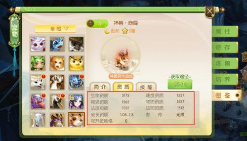 黄大仙精准三肖期期准|实地研究解释落实_XP款.6.816